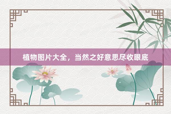 植物图片大全，当然之好意思尽收眼底
